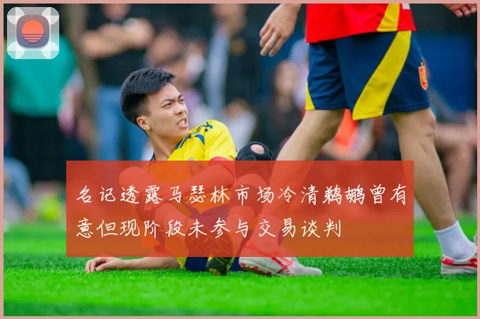 名记透露马瑟林市场冷清鹈鹕曾有意但现阶段未参与交易谈判