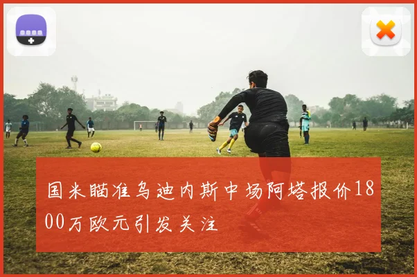 国米瞄准乌迪内斯中场阿塔报价1800万欧元引发关注